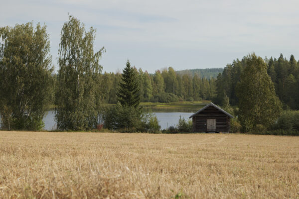 Retki Korpirastaan maille 4.7.2025 - aikuinen. - Image 3